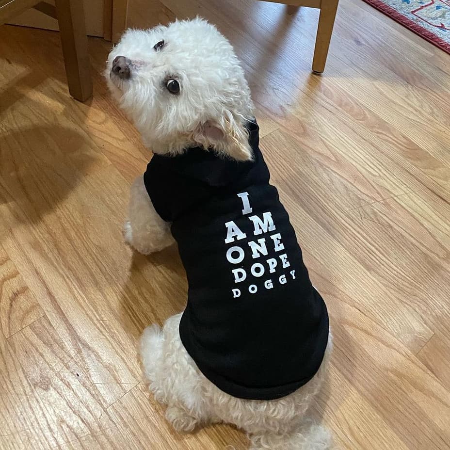 I Am One Dope Doggy Hoodie
